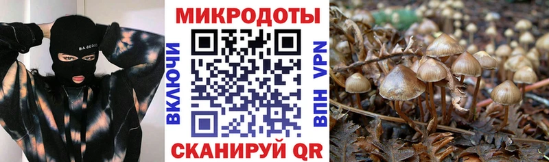 KRAKEN рабочий сайт Барабинск Галлюциногенные грибы Cubensis хочу наркоту
